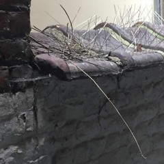 HP#7.2 by Scarpa [Frozen Border]