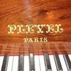 CHOPIN - Valse en Si Mineur