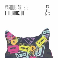 The Potato Heads - Anymore (BOC005)