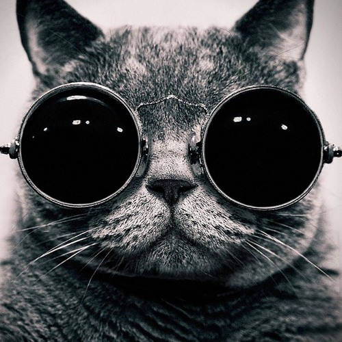 Dominic Glover, Gary Crockett, Jay Glover - Golden Swagger (MKon Remix)