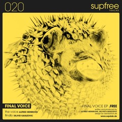 Alfred Heinrichs, Dejvid Kavazovic - Final Voice .EP [supfree 020]