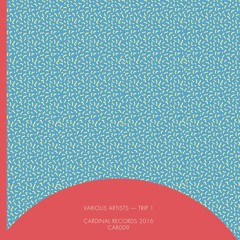 CAR009 - Various Artists - Trip 1 (Snippets)