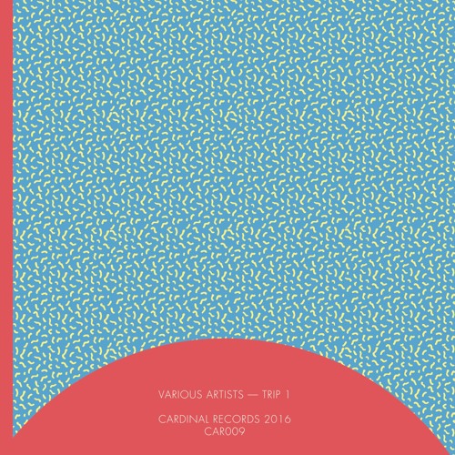 CAR009 - Various Artists - Trip 1 (Snippets)