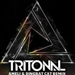 Tritonal - Now Or Never (Ameli & Dingbat Cat Remix)