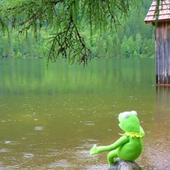 beat for a rainy day