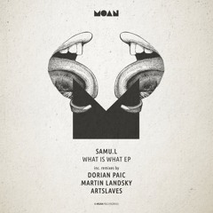 Samu.l - What Is What (Original Mix)