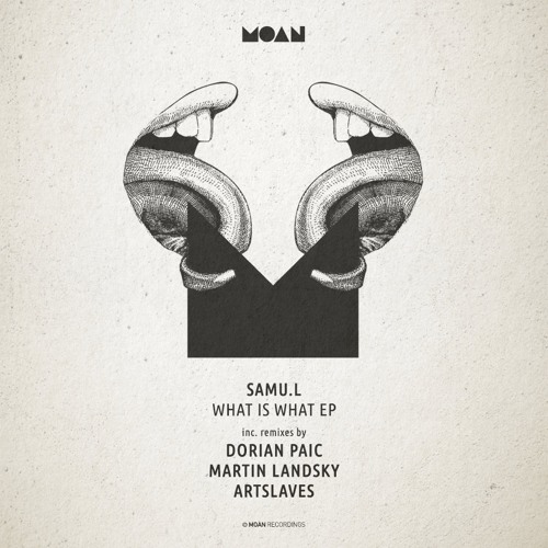 Samu.l - What Is What (Original Mix)