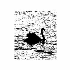 Ruin - Jonain Yönä