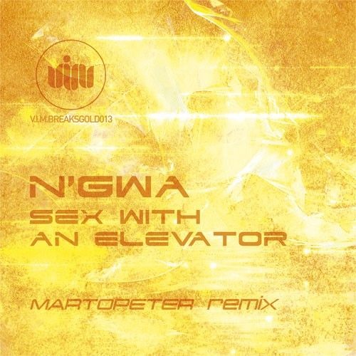 N'Gwa - Sex With An Elevator (Preview -Out Soon on VIM)