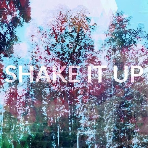 Shake It Up