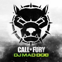 DJ Mad Dog - Call Of Fury