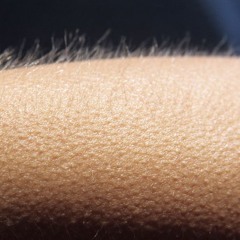 Zinc & Skibba vs. the Dreamland Ravers in 2005