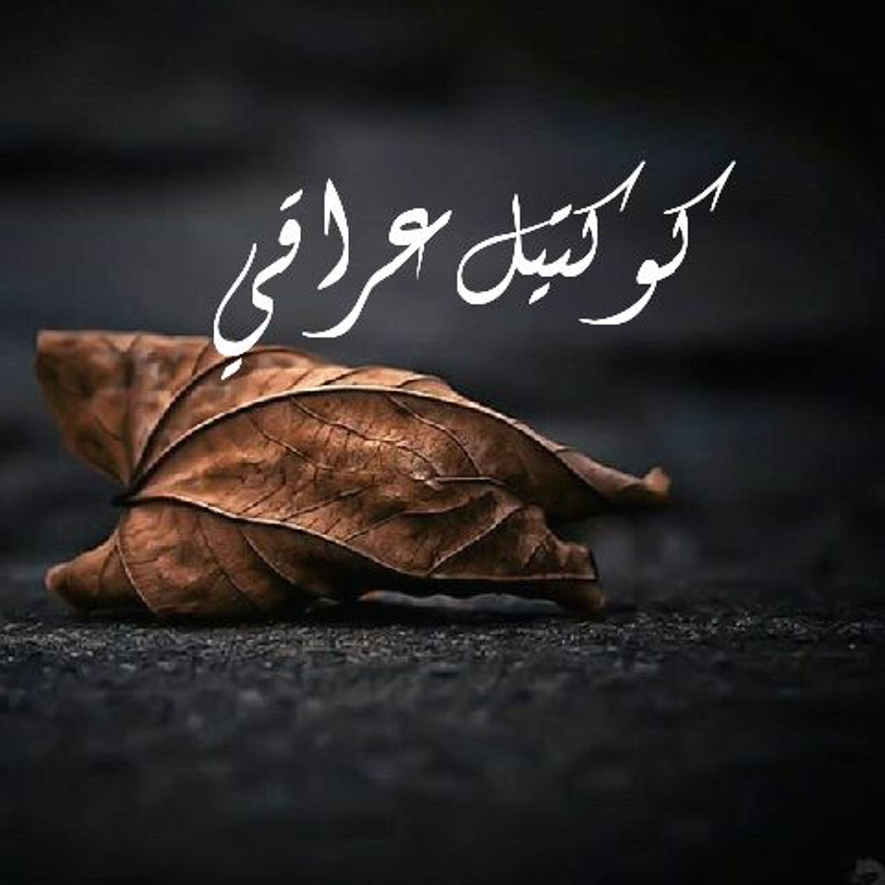 ايهاب القواسمي - كوكتيل عراقي episode artwork