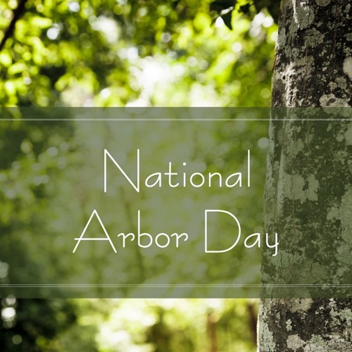 National Arbor Day by Trees Are Key  Free Listening on SoundCloud