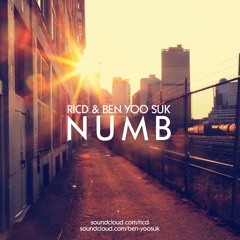 RICD & BEN YOO SUK - Numb (Original Mix)