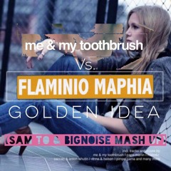 Flaminio Maphia Vs Me&My Toothbrush - Golden Idea (Sam To & BigNoise Mashup)