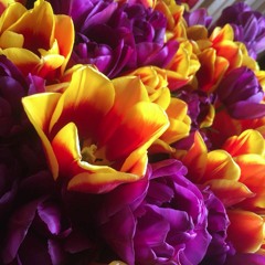 Flowers Pt. 1