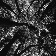 Patched In EP (Free Download)