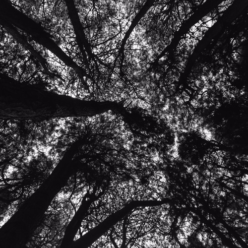 Patched In EP (Free Download)