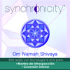 Om Namah Shivaya Mp3