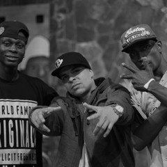 Esencia Natural - Azafary Sistem