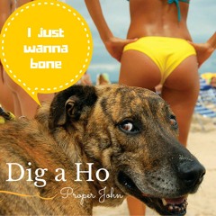 Dig A Ho (Prod. By Double A)