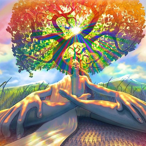 Reverb High [ Psychedelic Dub / Electro Dub / Psydub Mix ]