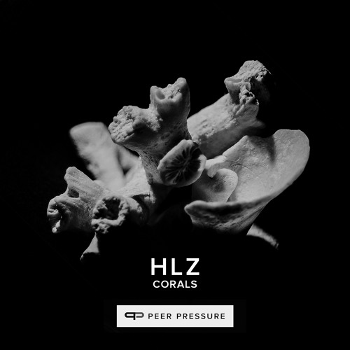 HLZ - No Peace