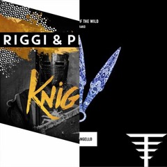 Children Of The Knightlife (JPRSN & Barry Potter Mashup)