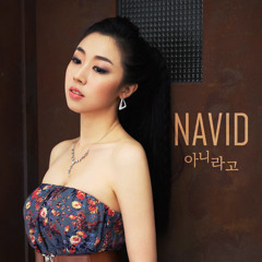 NAVID - Don't Blame Me (아니라고)