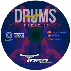 DRUMS PARADISE (DJ TORO)