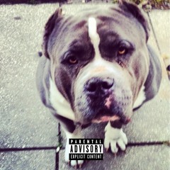 I'm A Beast, Dog (Prod. By Sounds By C.O.O.P.)