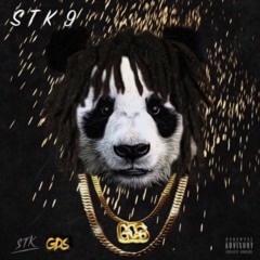 STK 9 - Panda Remix
