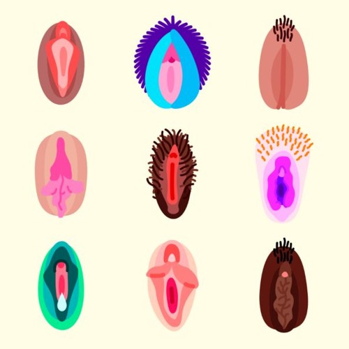 ALL`APOLOGIES (Nirvana cover)