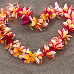 If I Said You Had A Beautiful Body - Island twist
