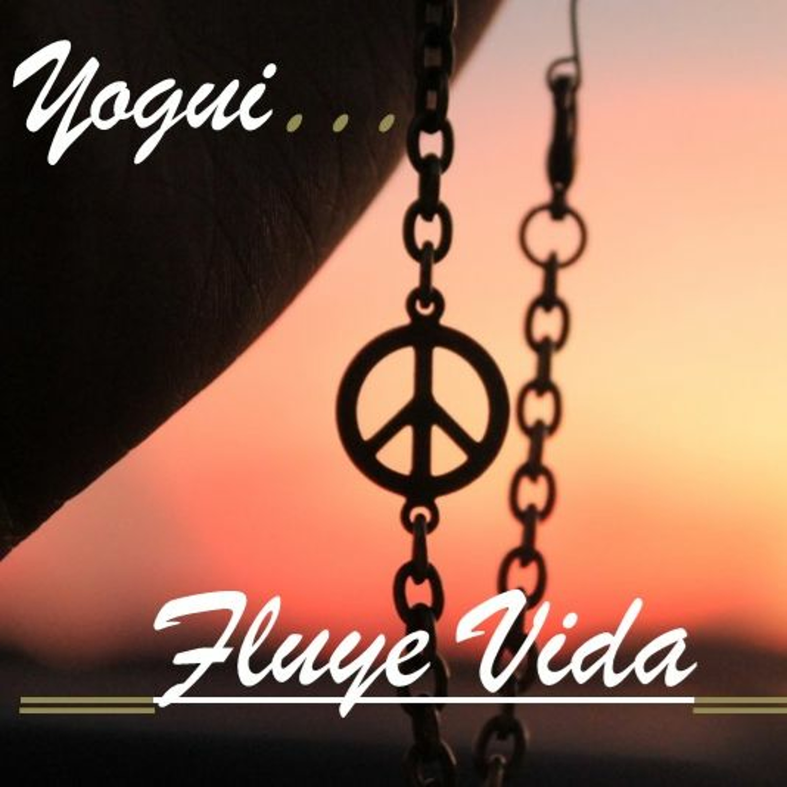 Yogui Astudillo