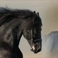 LABERINTO CORRIDOS DE CABALLOS.