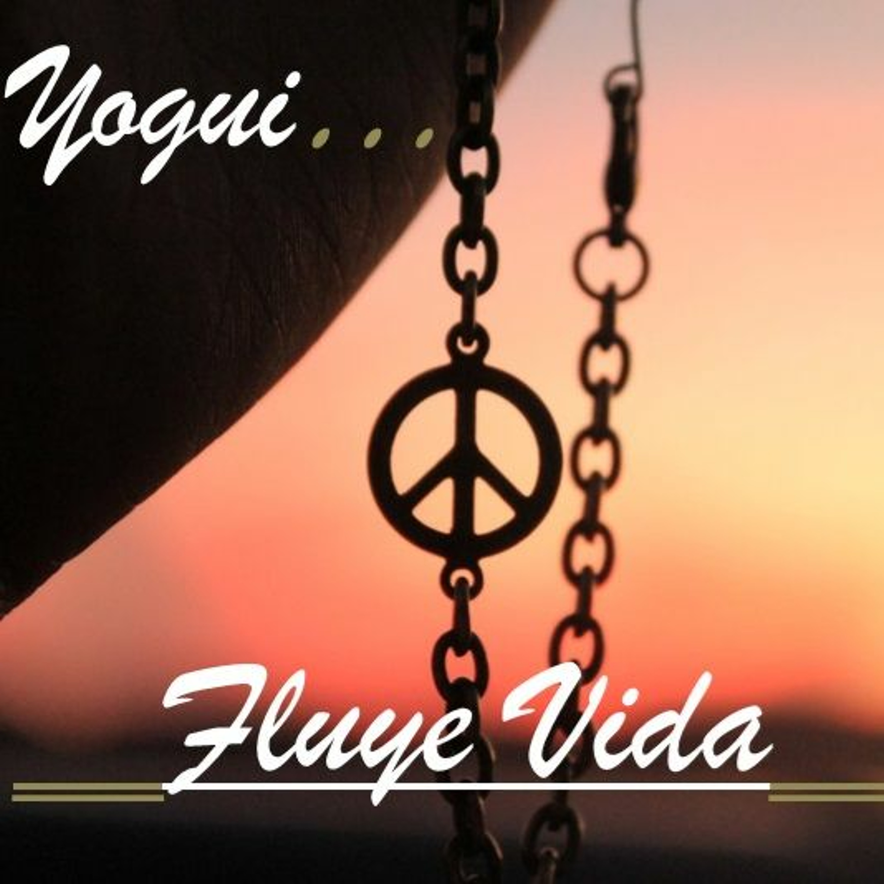 Yogui Astudillo