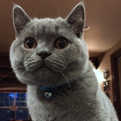 Kenji wins pachinko, but the thrill fades