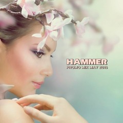 Hammer - Promo Mix May 2016