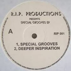 R.I.P. Productions - Special Groove
