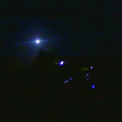 Harmony oF Night