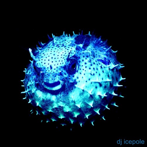 Stream puffer fish n chips by dj icepole | Listen online for free on  SoundCloud