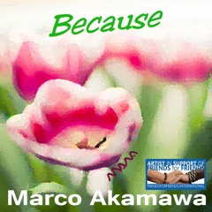 Because by Akamawa