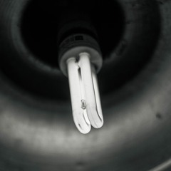The Light