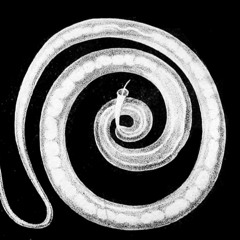 Can parasitic worms treat inflammatory diseases?