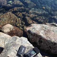 PLAYING IN NATURE: Thora Dolven Balke