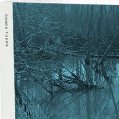 RandomCode - DiveRate [Bokhari Records - Swamp Tapes 003]