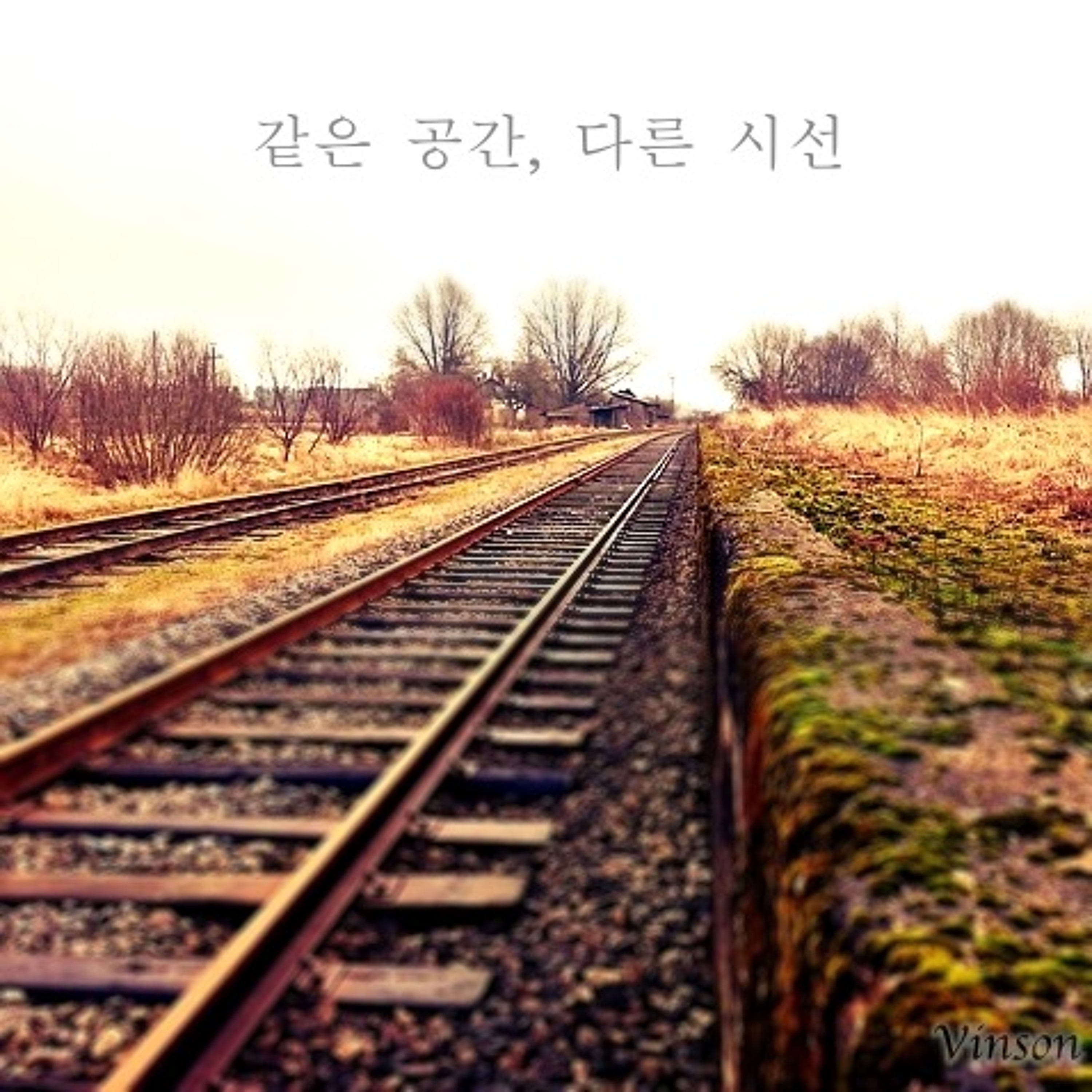 Vinson(빈슨)