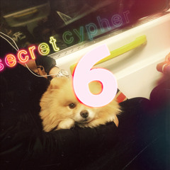 Secret Cypher Volume 6